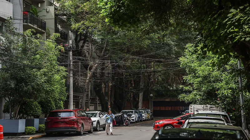 Cables Calle Hemerson Colonia Polanco 
